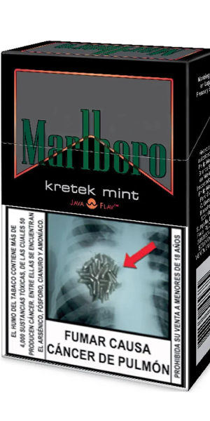 Cigarro Marlboro Canela 20uni - Cajetilla